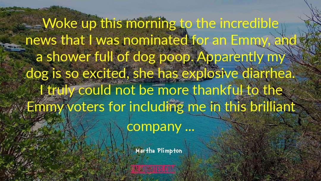 League Of Women Voters quotes by Martha Plimpton