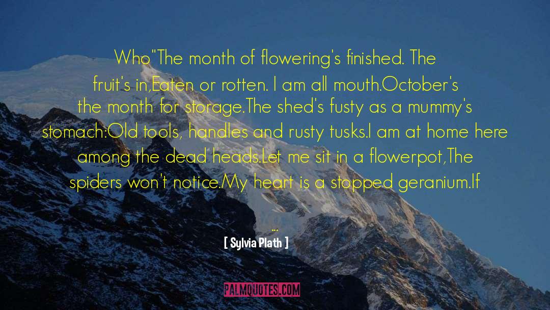 League Of Women Voters quotes by Sylvia Plath