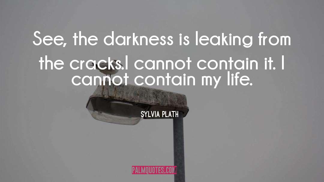 Leaking quotes by Sylvia Plath