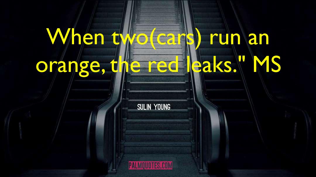 Leaks quotes by Sulin Young