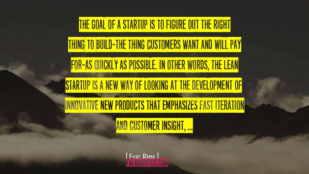 Lean Startup quotes by Eric Ries