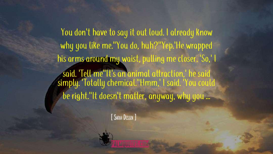 Leaning In quotes by Sarah Dessen