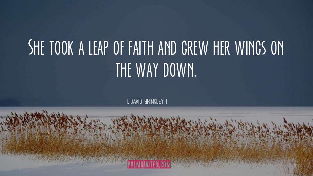 Leap Of Faith quotes by David Brinkley