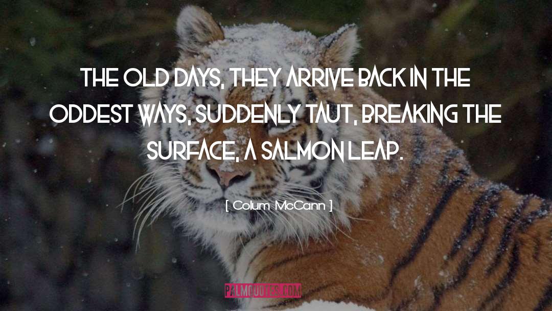 Leap quotes by Colum McCann