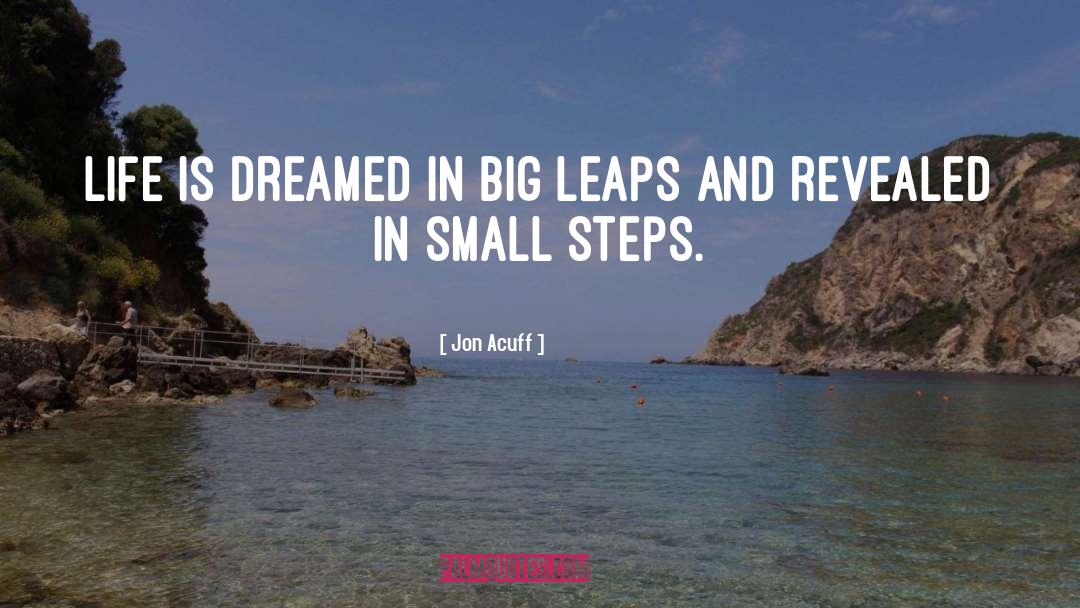 Leaps quotes by Jon Acuff