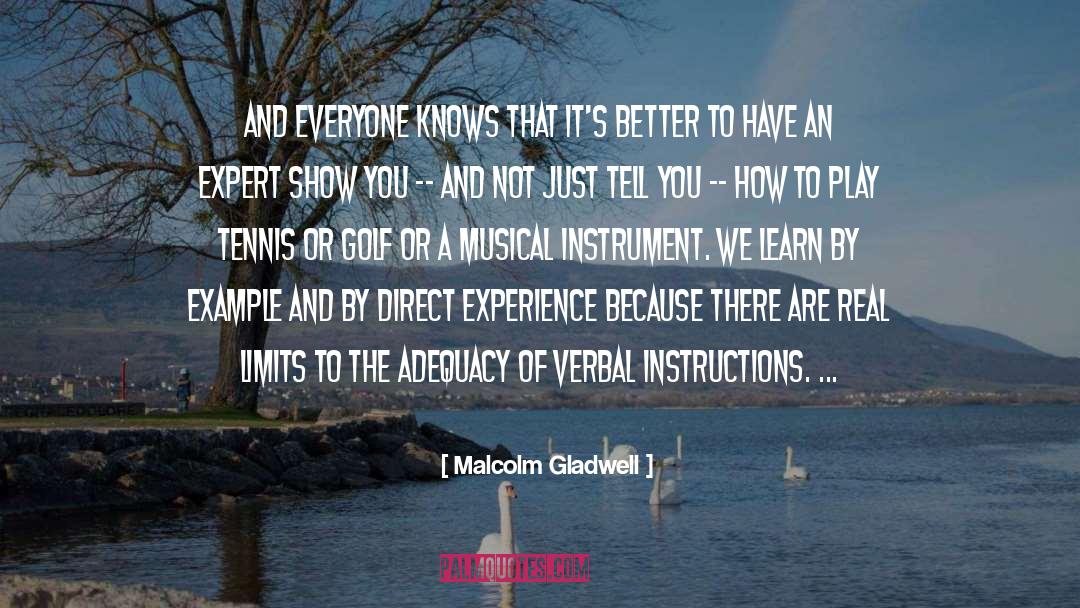 Learn By Example quotes by Malcolm Gladwell