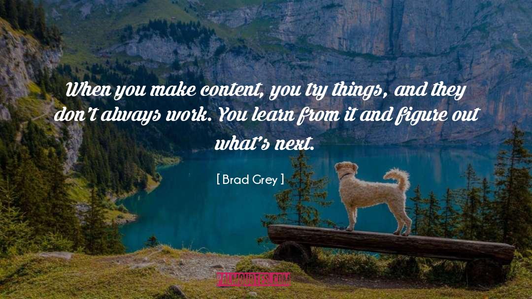 Learn From It quotes by Brad Grey