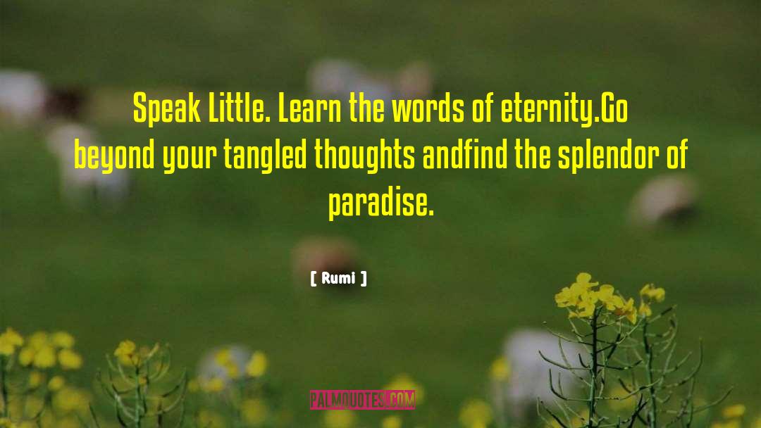 Learn The Words Of Eternity quotes by Rumi