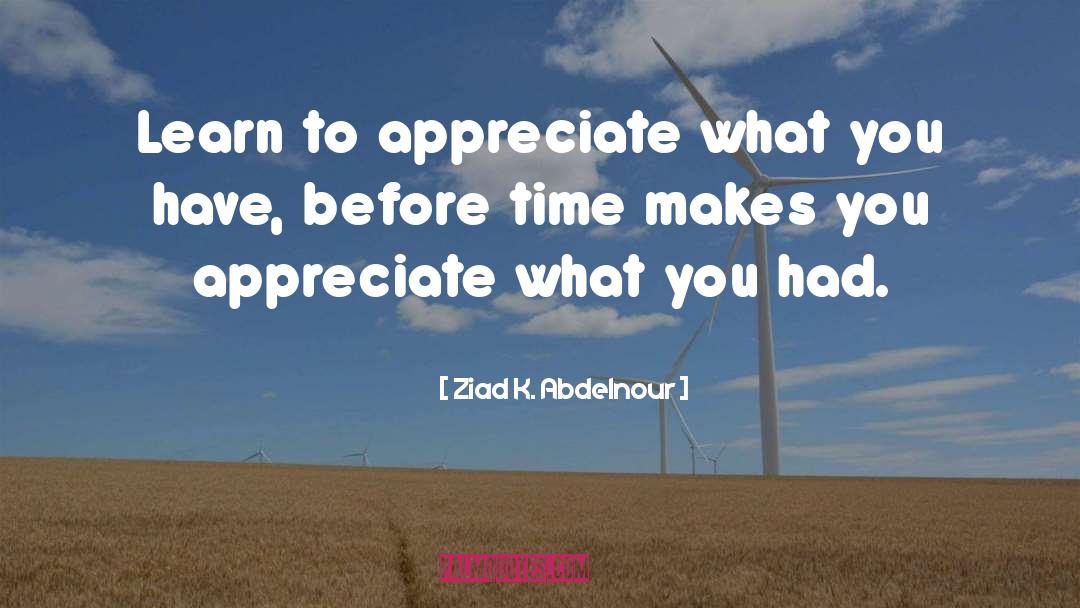 Learn To Appreciate quotes by Ziad K. Abdelnour