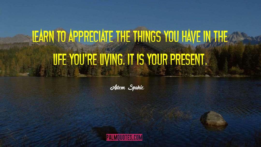 Learn To Appreciate quotes by Adem Spahic