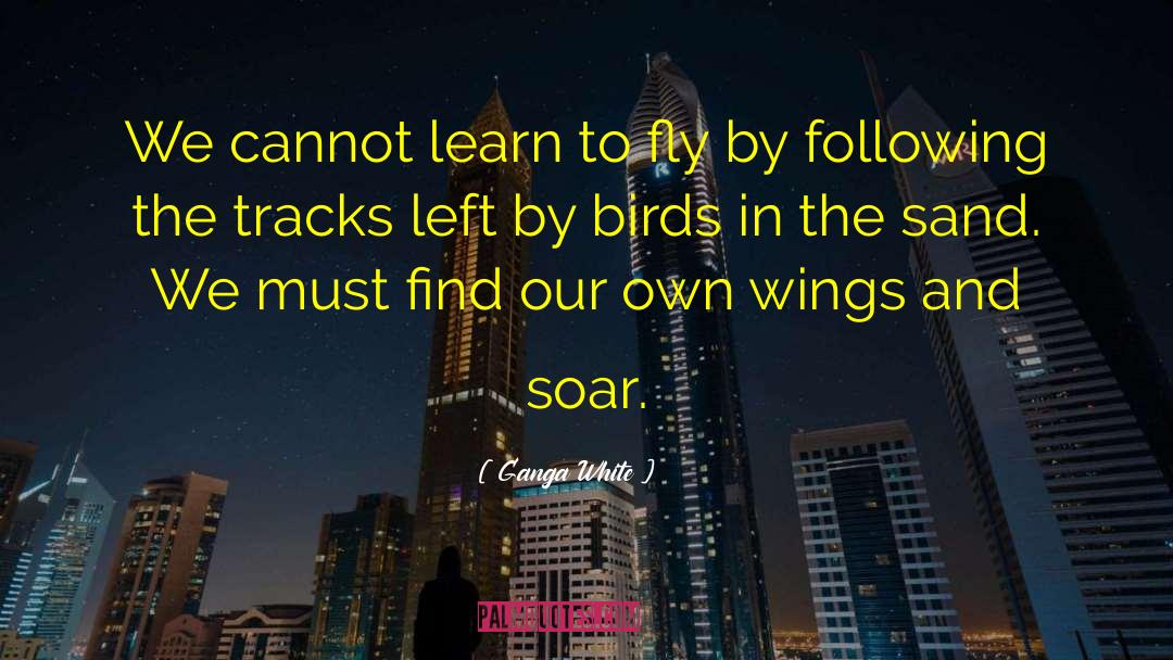 Learn To Fly quotes by Ganga White