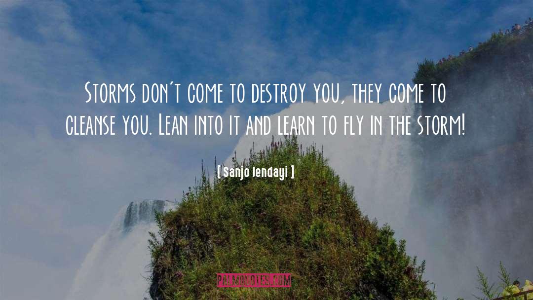Learn To Fly quotes by Sanjo Jendayi