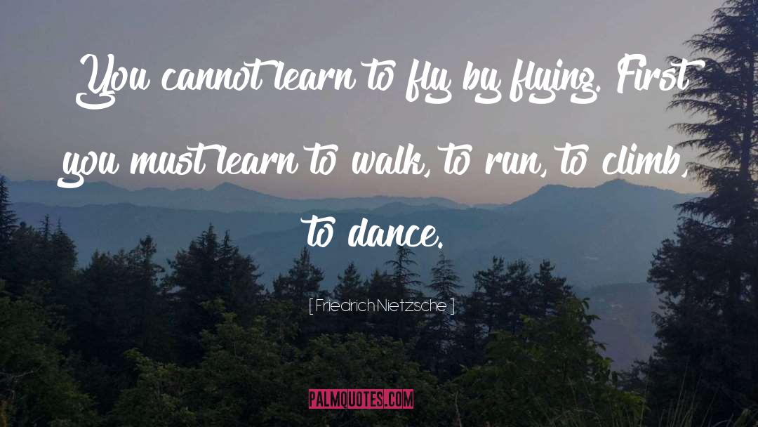 Learn To Fly quotes by Friedrich Nietzsche