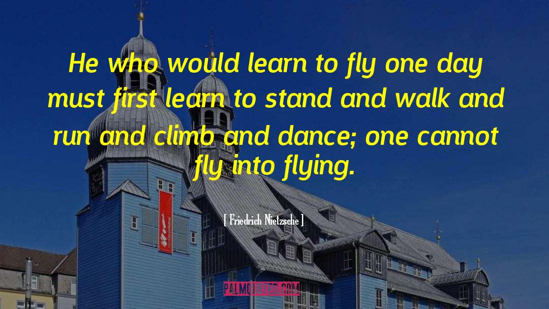 Learn To Fly quotes by Friedrich Nietzsche