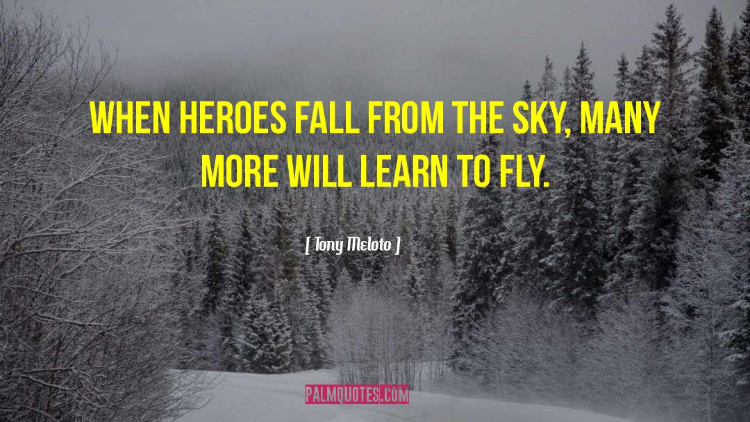 Learn To Fly quotes by Tony Meloto