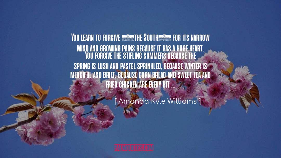 Learn To Forgive quotes by Amanda Kyle Williams