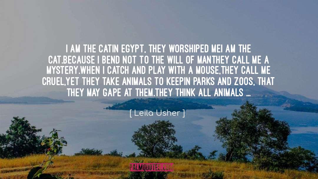 Learn To Kill Animals quotes by Leila Usher