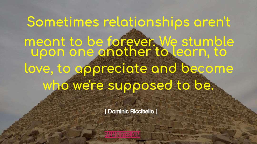 Learn To Love quotes by Dominic Riccitello