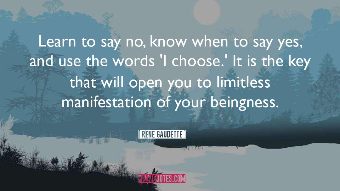 Learn To Say No quotes by Rene Gaudette