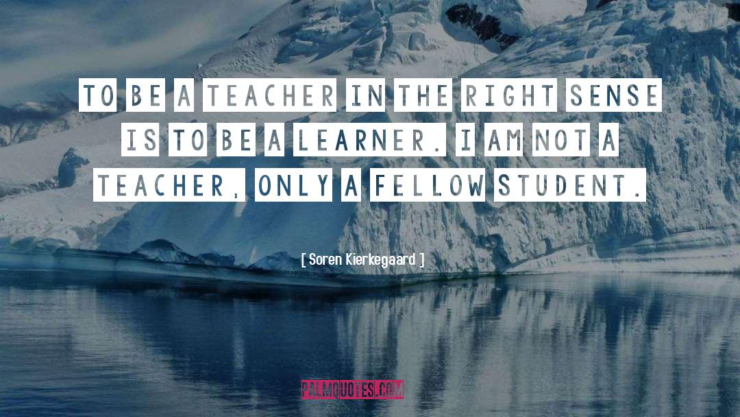 Learners quotes by Soren Kierkegaard