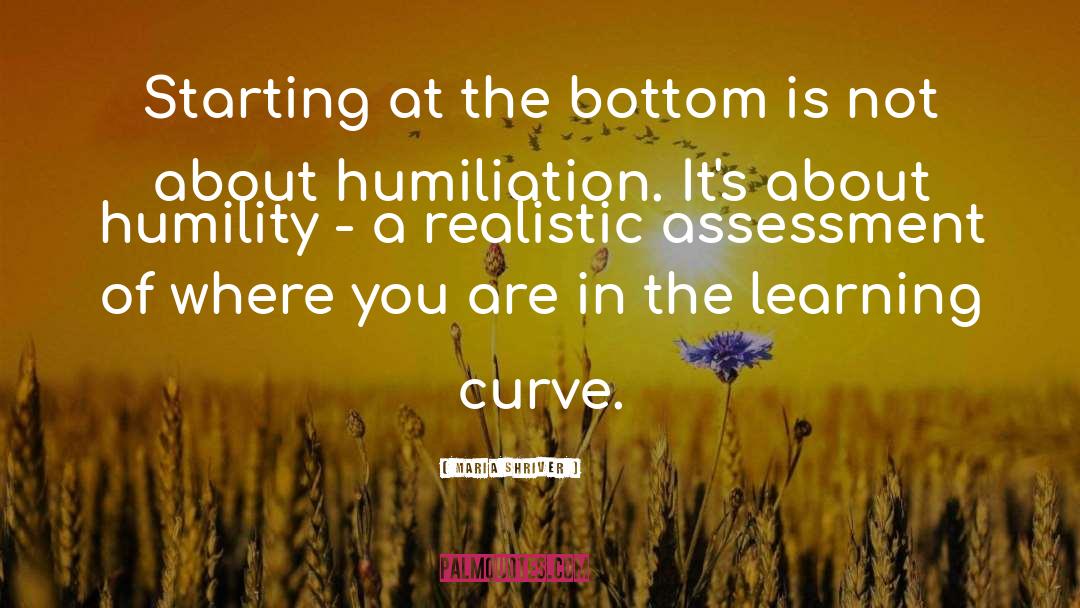 Learning Curve quotes by Maria Shriver