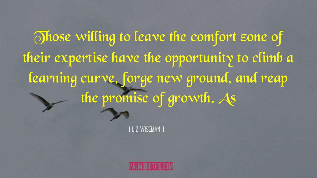 Learning Curve quotes by Liz Wiseman