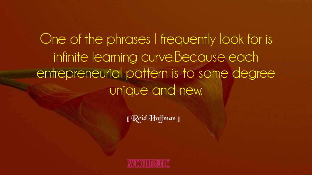 Learning Curve quotes by Reid Hoffman