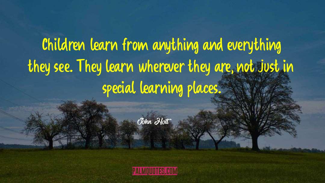 Learning Environment quotes by John Holt
