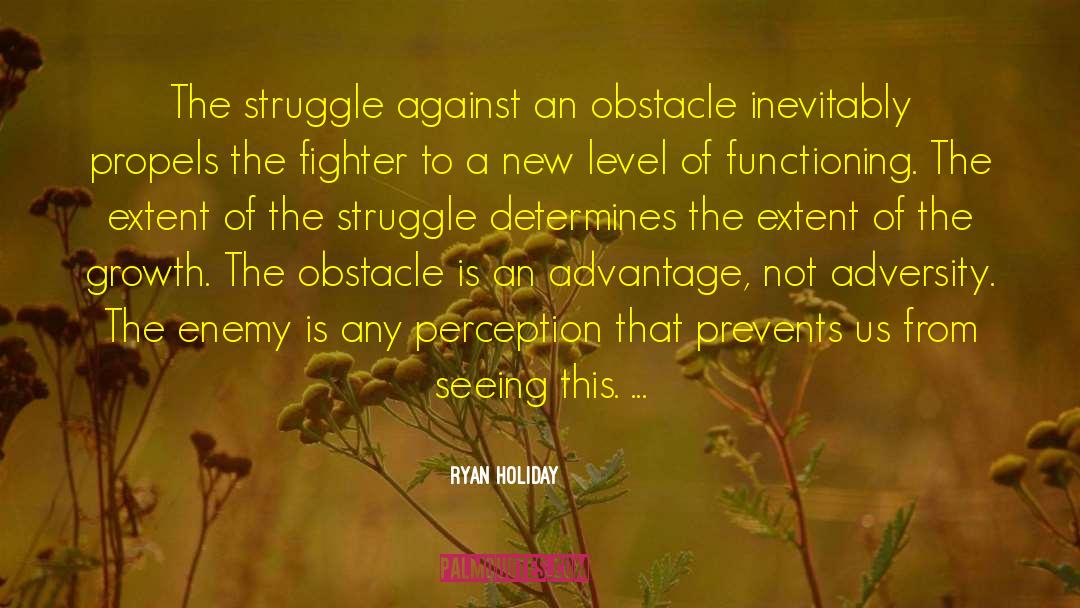 Learning From Adversity quotes by Ryan Holiday