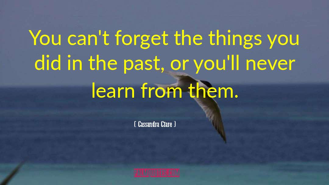 Learning From The Past quotes by Cassandra Clare