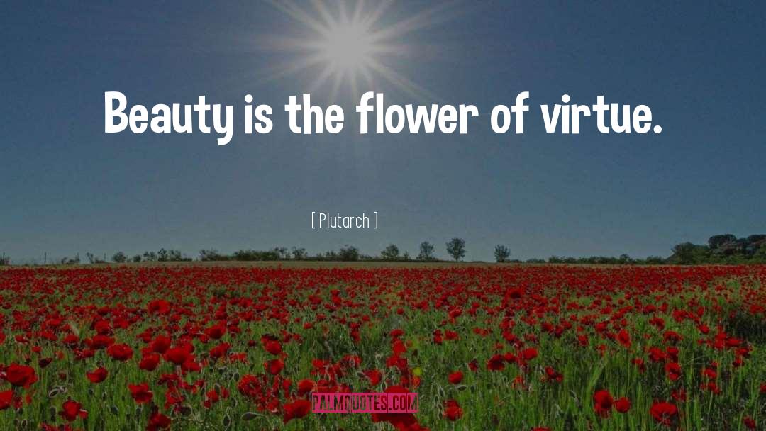 Learning Is Beauty quotes by Plutarch