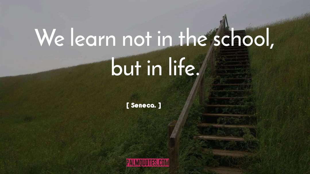 Learning Life quotes by Seneca.