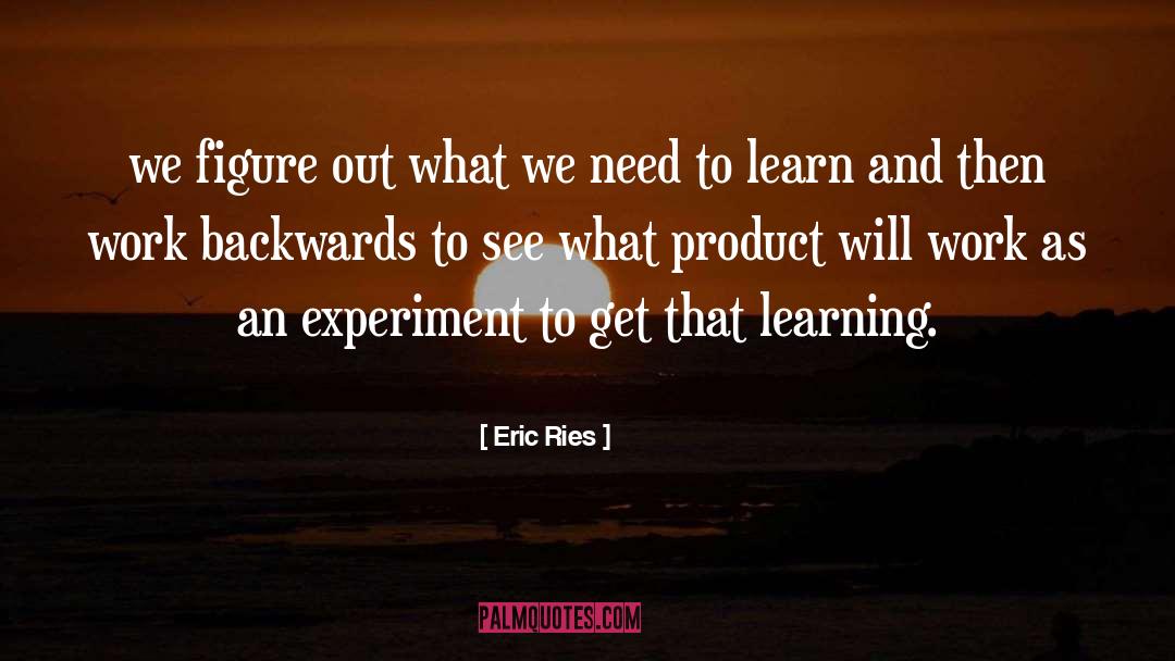 Learning Organization quotes by Eric Ries