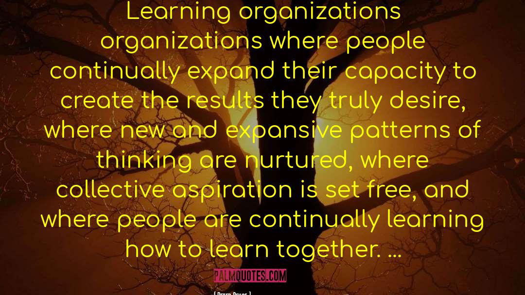 Learning Organization quotes by Peter Senge