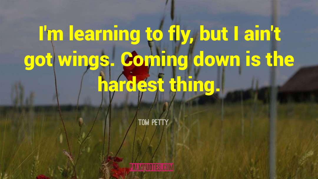 Learning To Fly quotes by Tom Petty