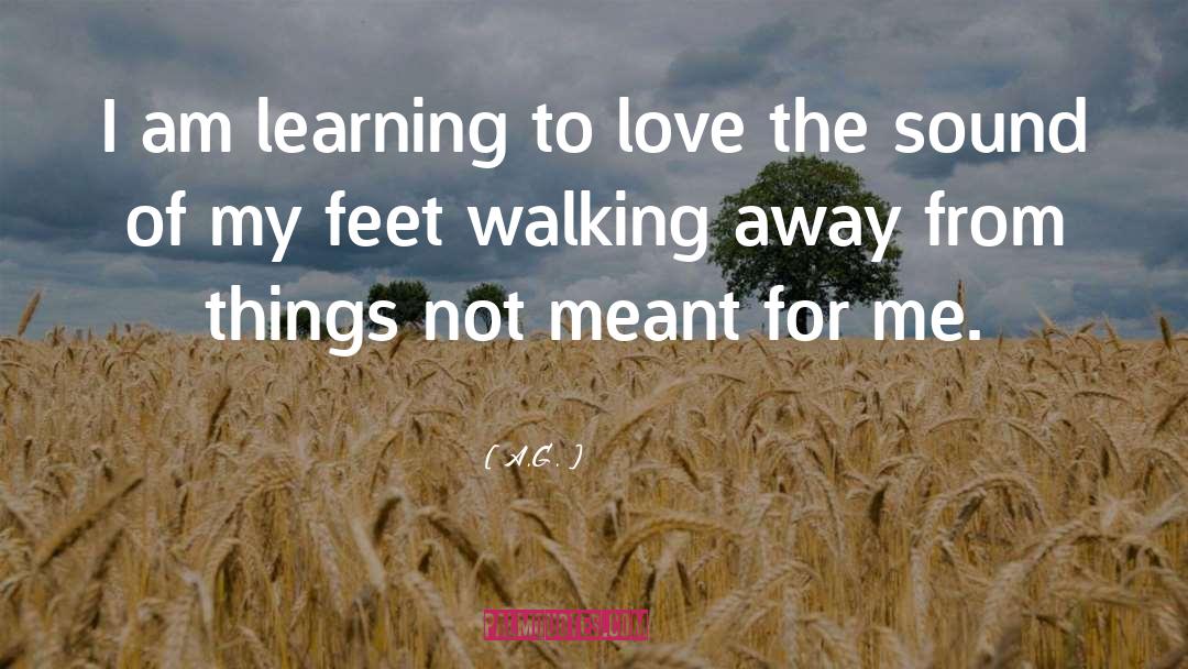 Learning To Love quotes by A.G.