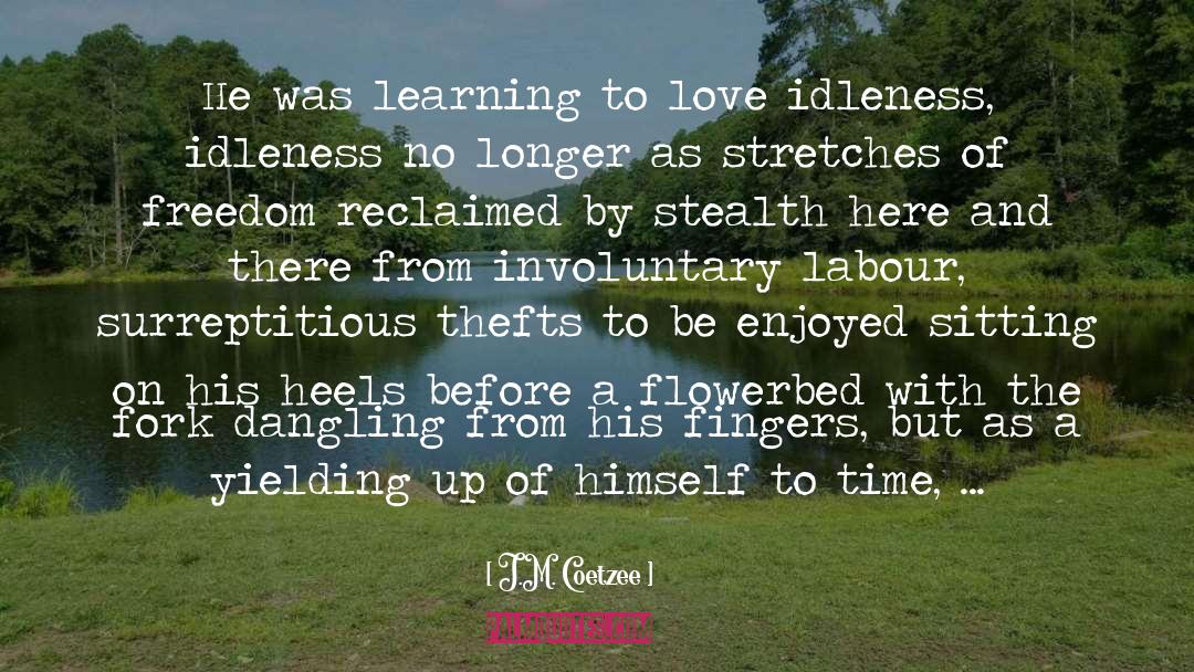 Learning To Love quotes by J.M. Coetzee