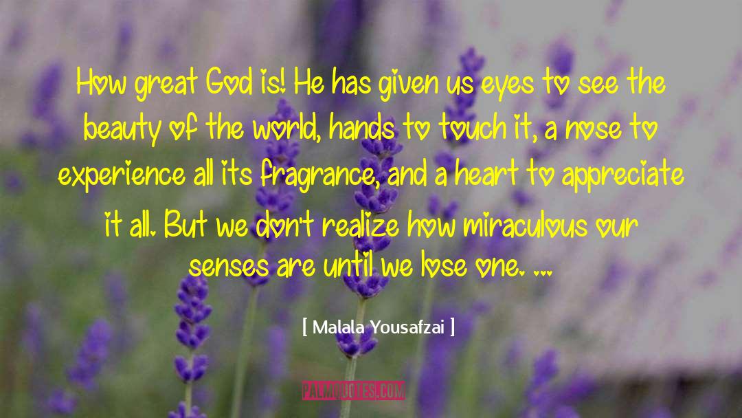 Learnt To See The Beauty quotes by Malala Yousafzai