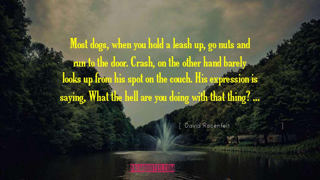 Leashes quotes by David Rosenfelt