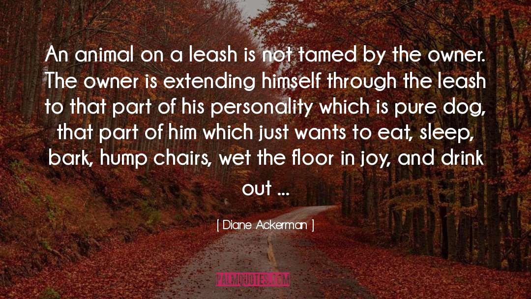 Leashes quotes by Diane Ackerman