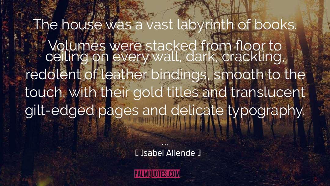 Leather quotes by Isabel Allende
