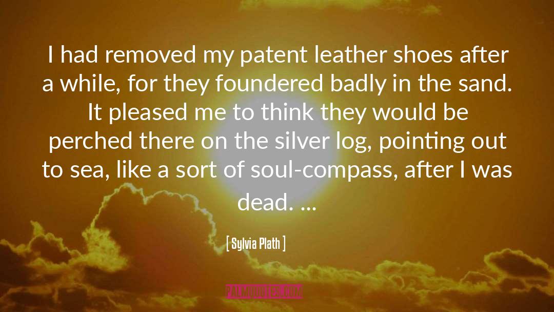Leather Shoes quotes by Sylvia Plath