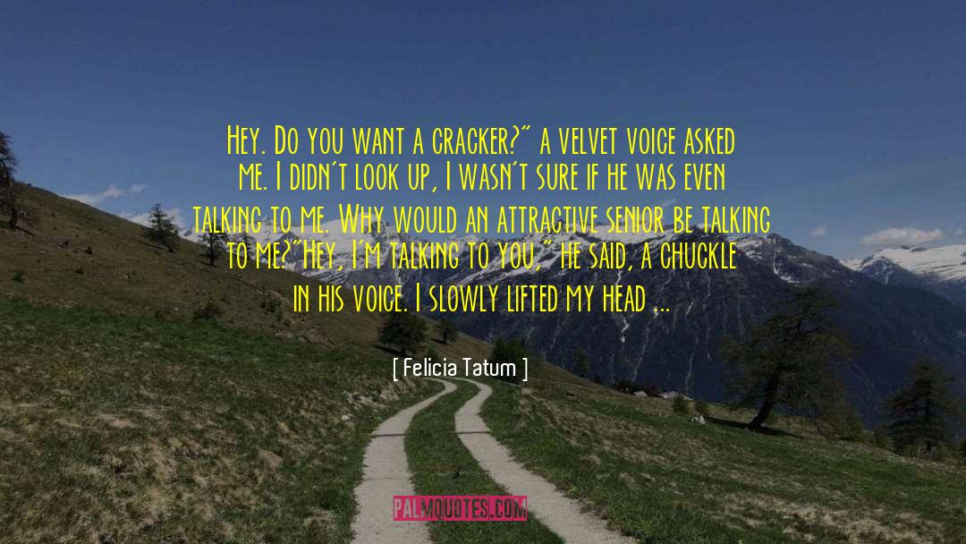 Leather Shoes quotes by Felicia Tatum
