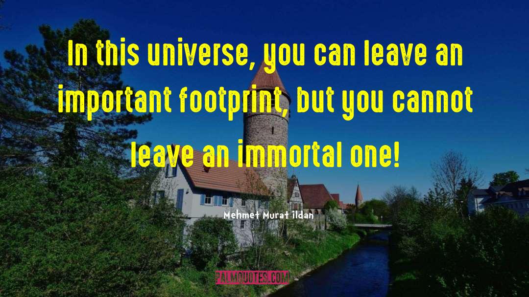 Leave An Indelible Footprint quotes by Mehmet Murat Ildan