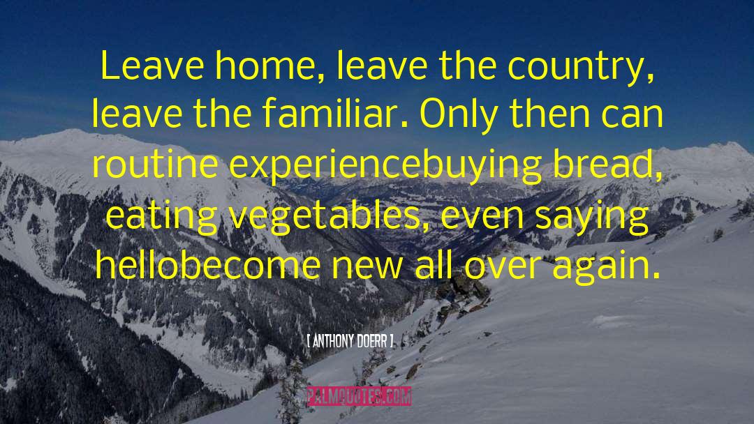 Leave Home quotes by Anthony Doerr