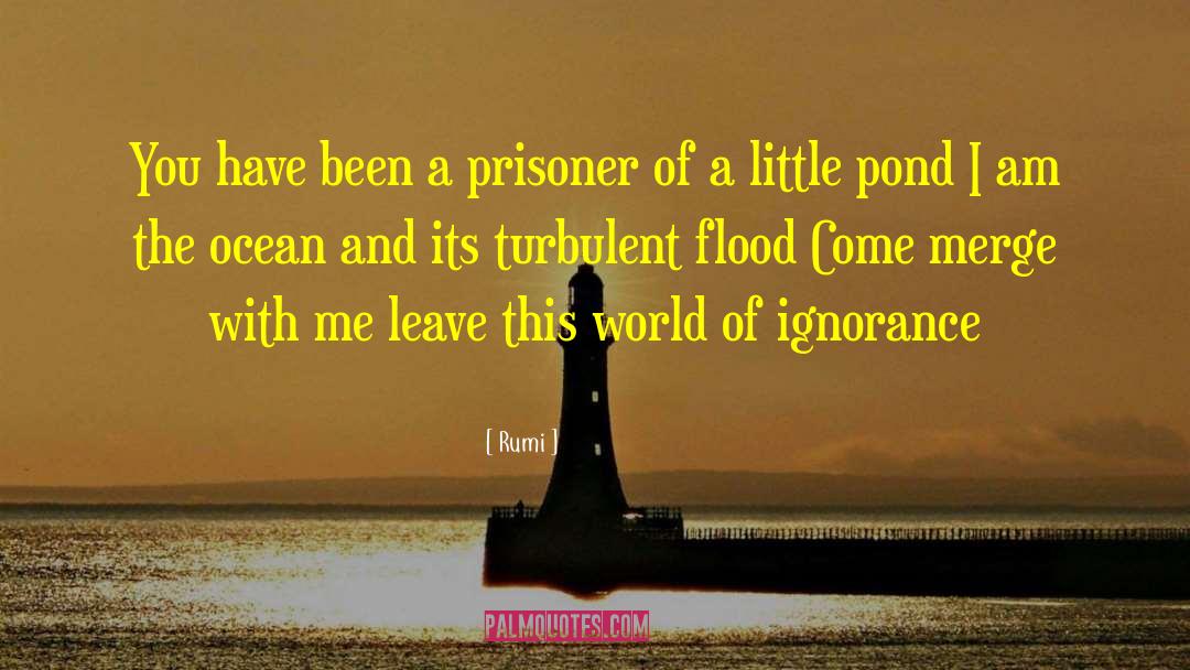 Leave This World quotes by Rumi