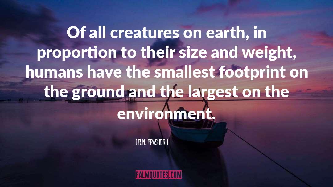Leave Your Footprint On Earth quotes by R.N. Prasher