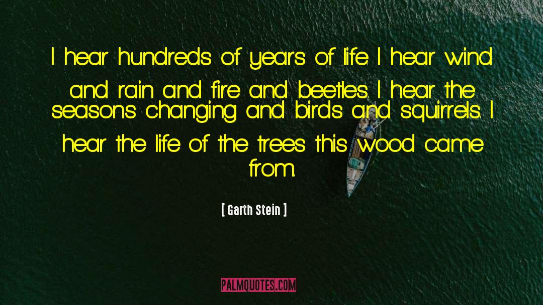 Leaves And Change quotes by Garth Stein