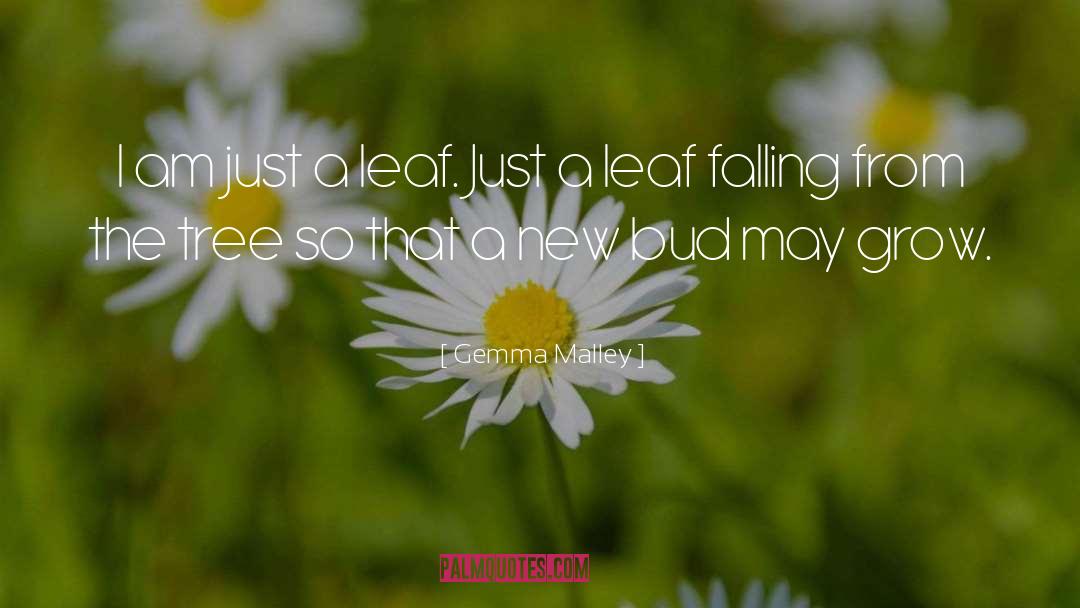 Leaves Falling quotes by Gemma Malley
