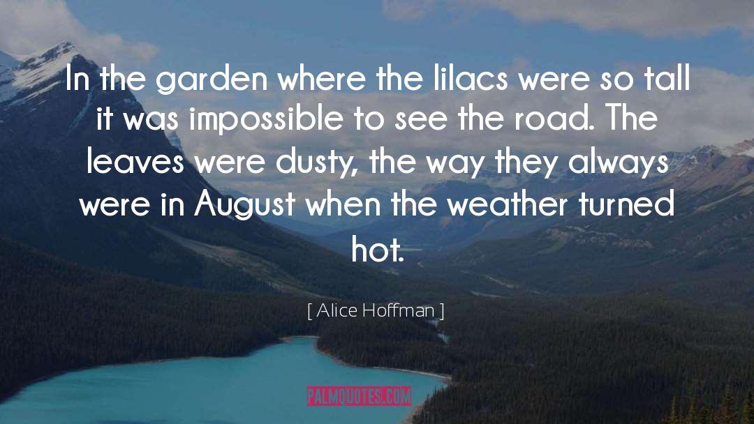 Leaves quotes by Alice Hoffman